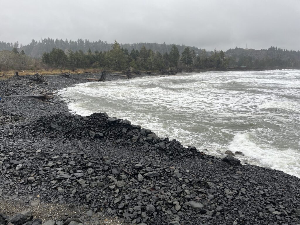 a rocky shore with trees in the background (MyCoast AI)