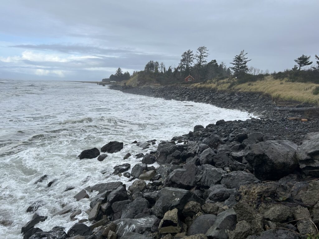 a rocky beach with trees in the background (MyCoast AI)