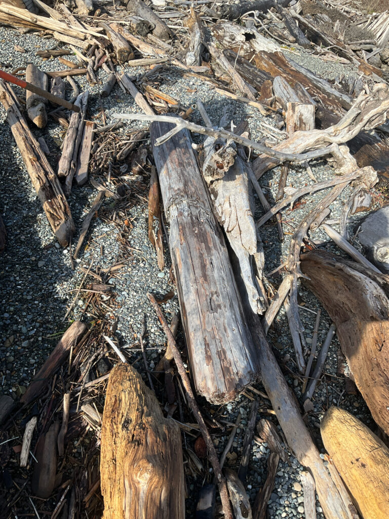 a pile of cut wood (MyCoast AI)