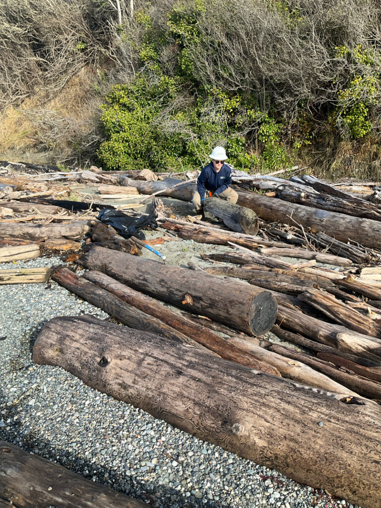 a man standing next to a pile of cut down trees (MyCoast AI)