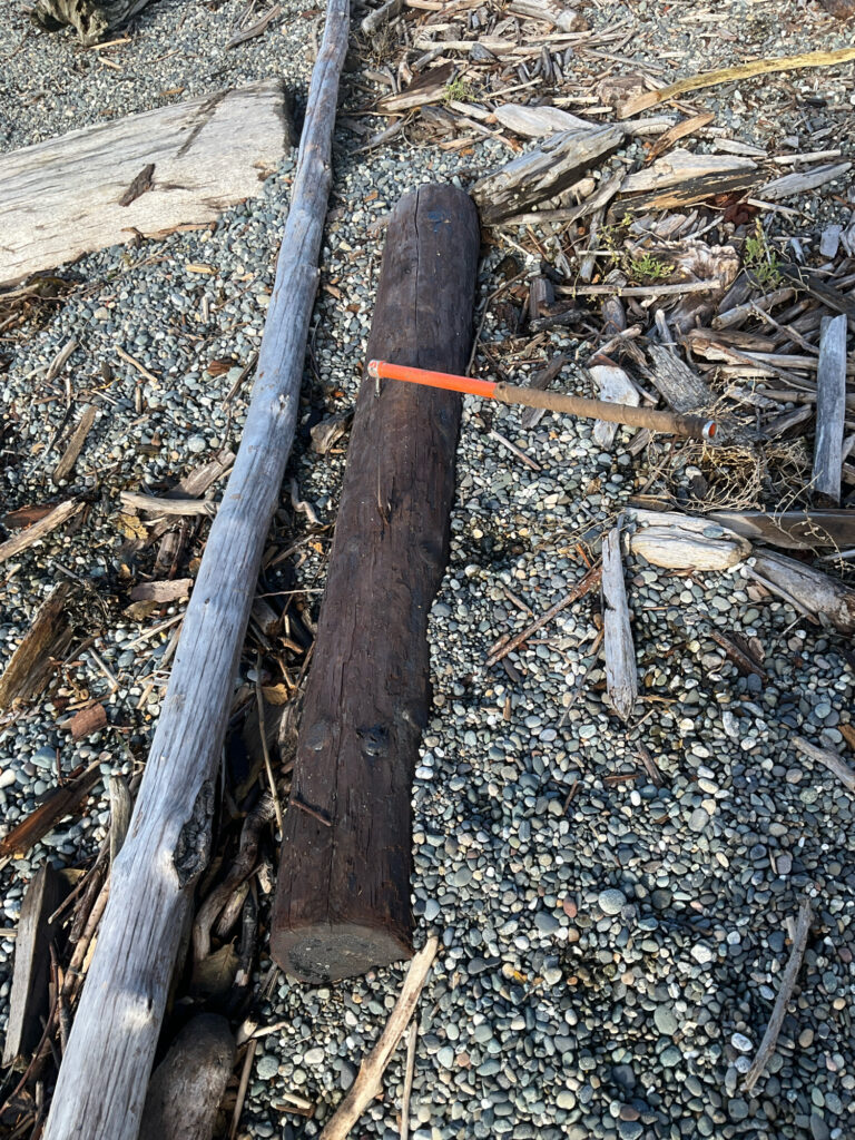 a wooden axe on a log (MyCoast AI)