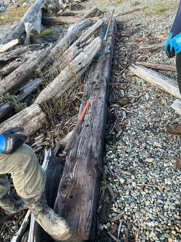 a person cutting wood (MyCoast AI)