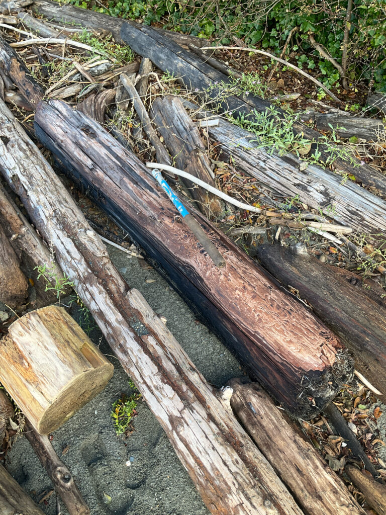 a blue toothbrush on a wooden bench (MyCoast AI)