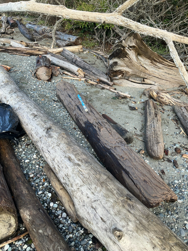 a group of logs (MyCoast AI)