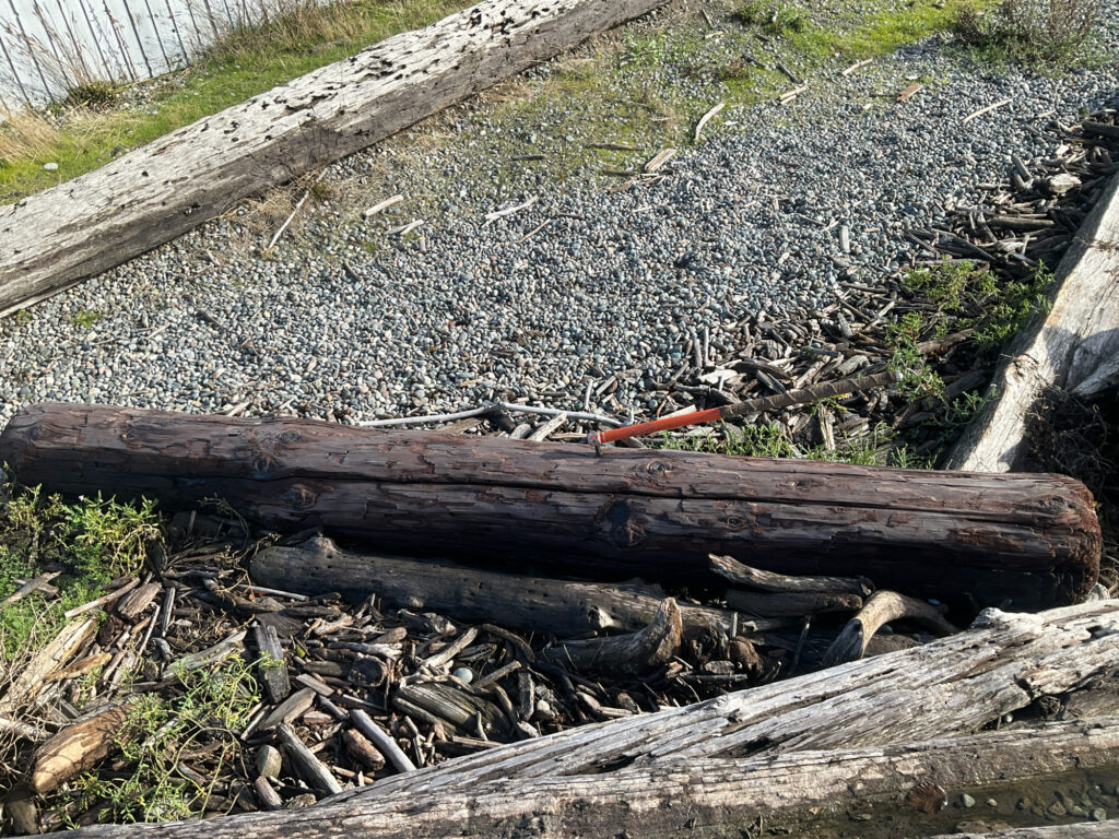 a pile of wood (MyCoast AI)