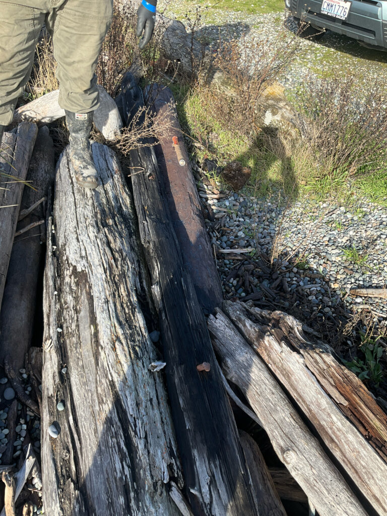 a person standing next to a wooden fence (MyCoast AI)