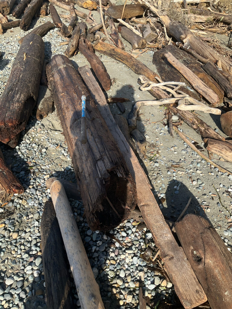 a pile of wood (MyCoast AI)