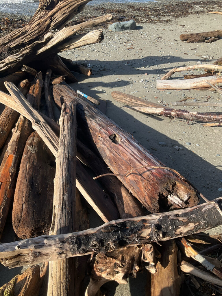 a pile of wood (MyCoast AI)