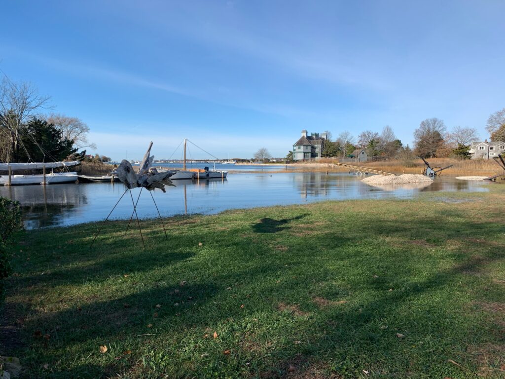 a body of water with grass and trees around it (MyCoast AI)