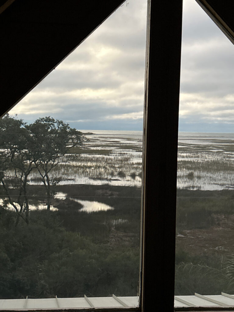 a view of a landscape from a window (MyCoast AI)