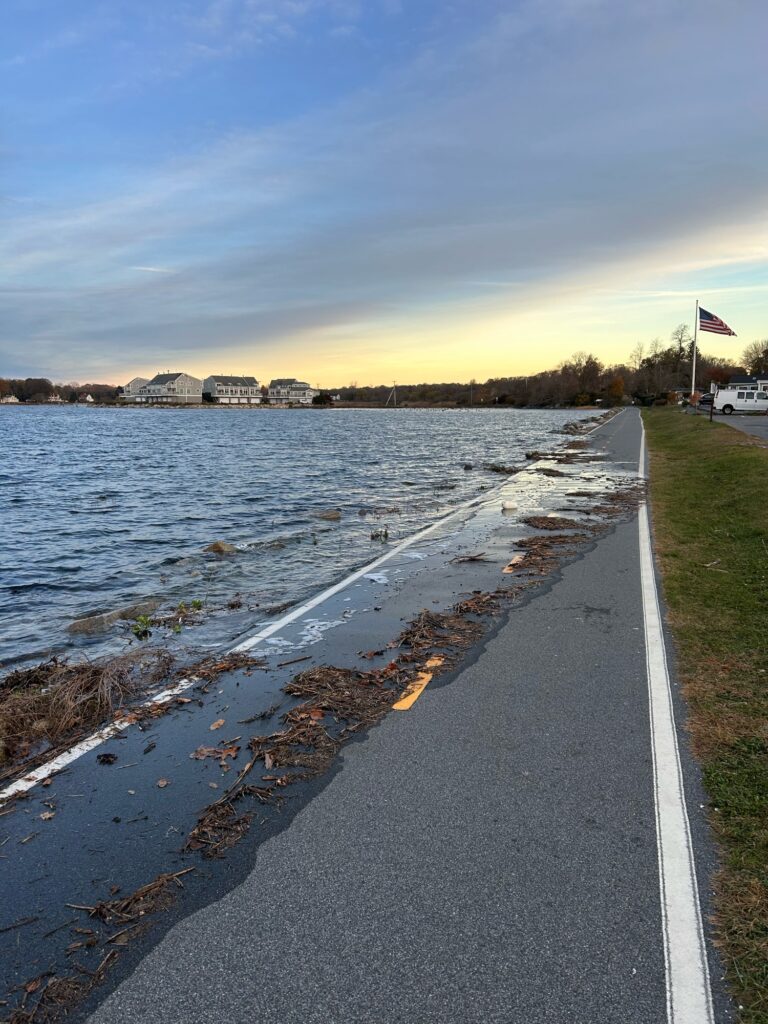a road next to a body of water (MyCoast AI)