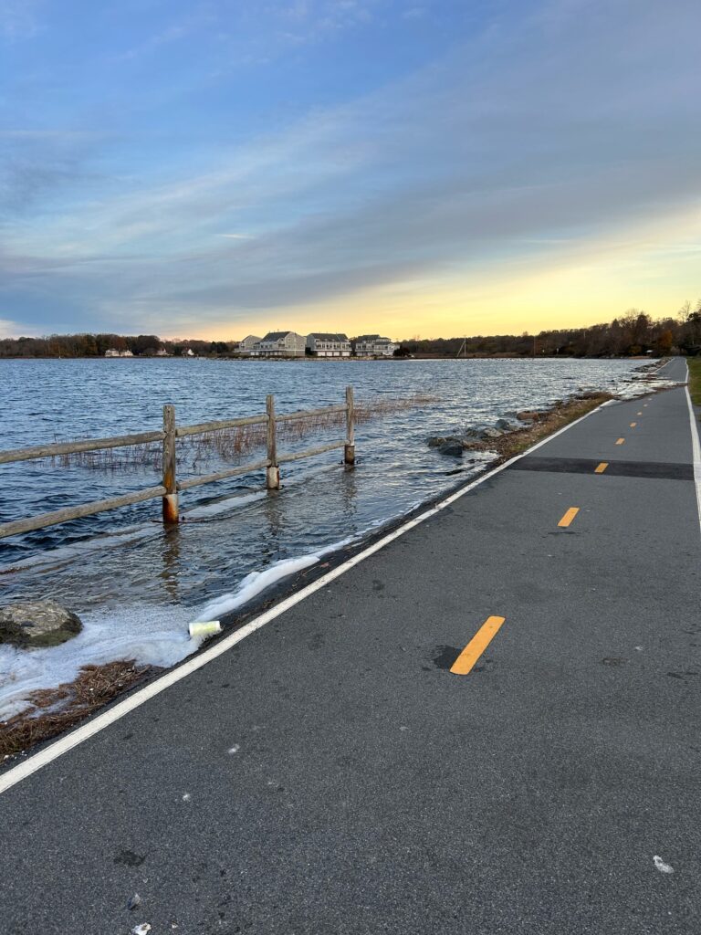 a road next to a body of water (MyCoast AI)