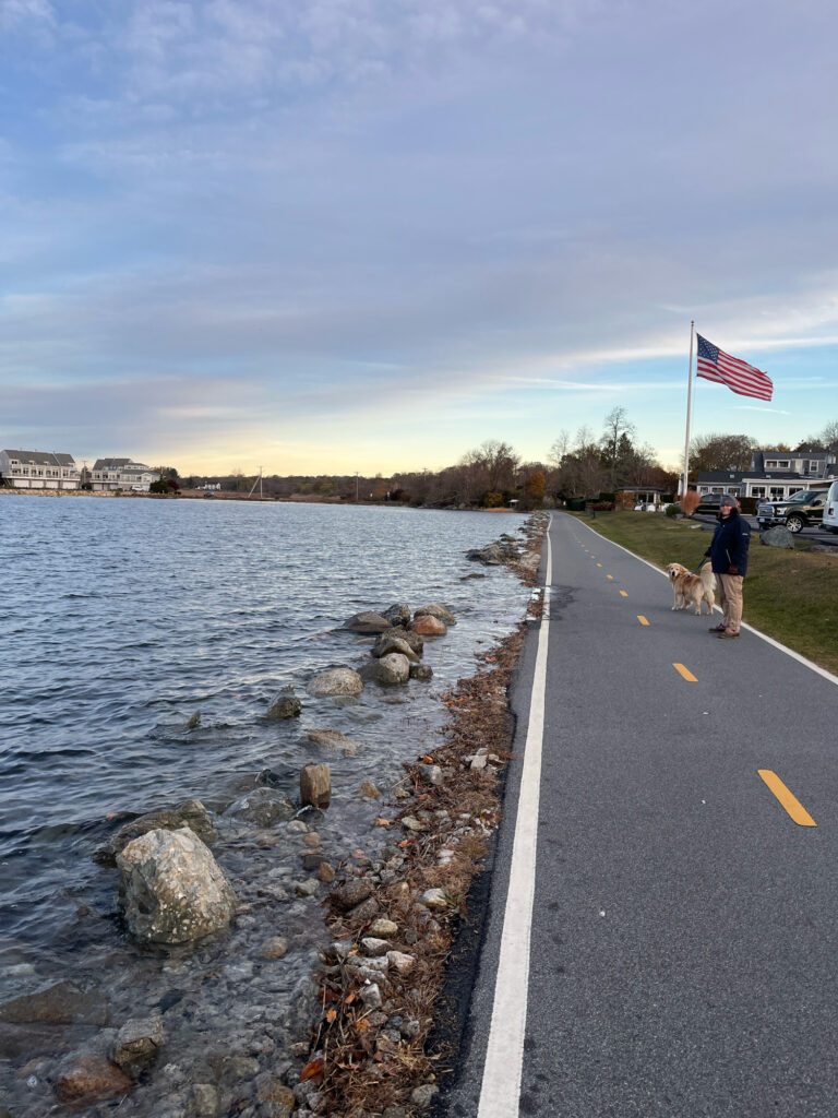 a person and a dog walking along a road next to a body of water (MyCoast AI)