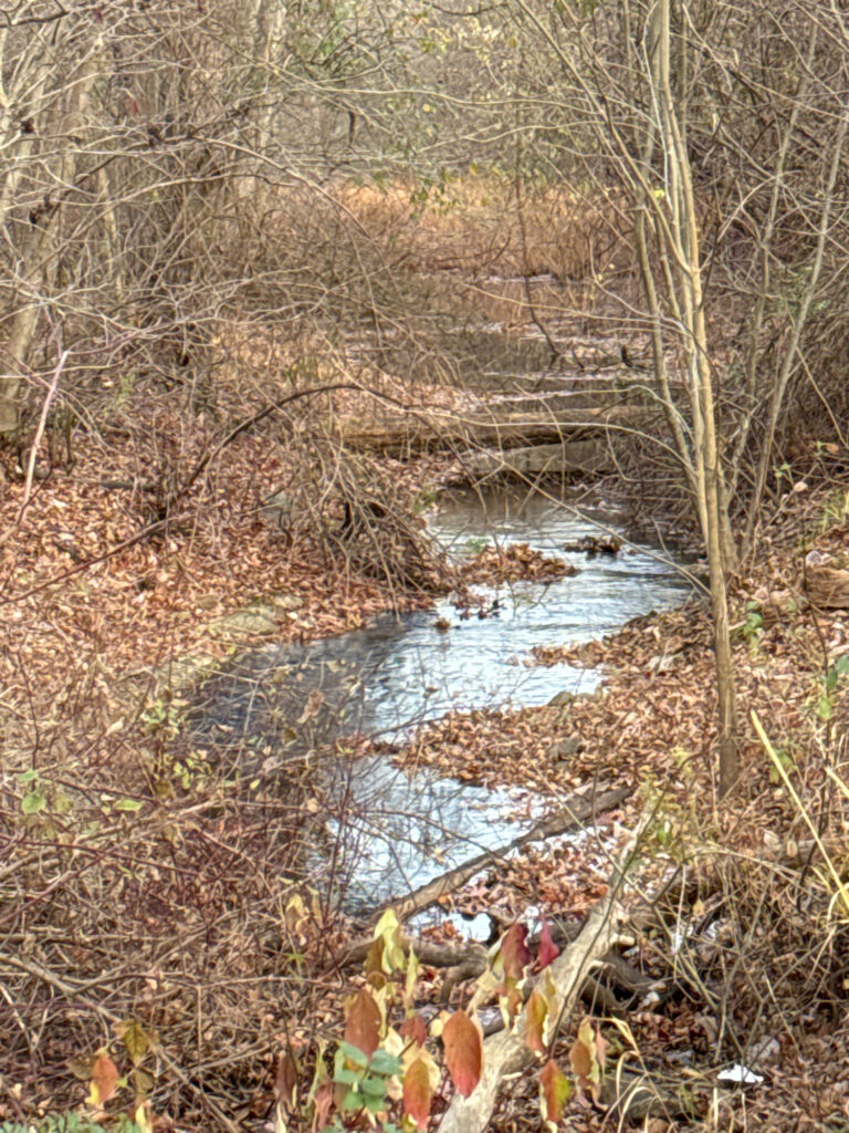 a stream with a small waterfall (MyCoast AI)