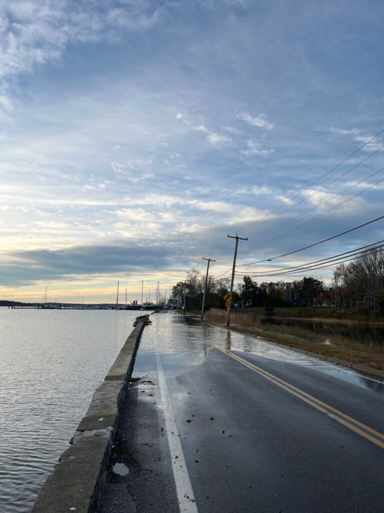 a road next to a body of water (MyCoast AI)