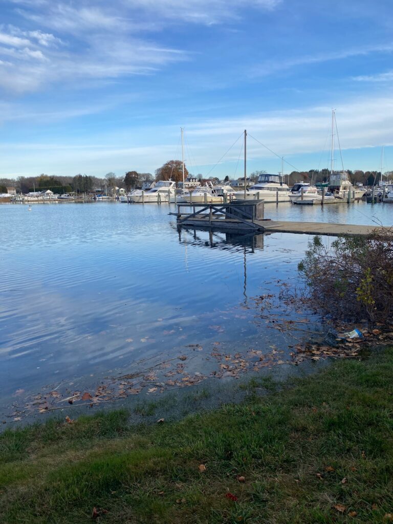 a dock with boats in a harbor (MyCoast AI)