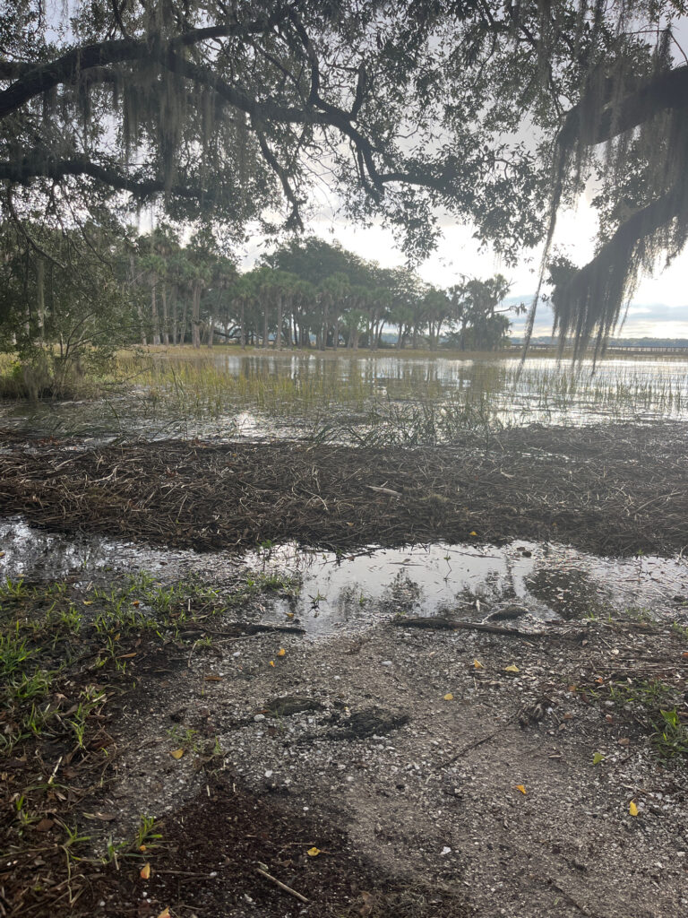 a small pond with trees around it (MyCoast AI)