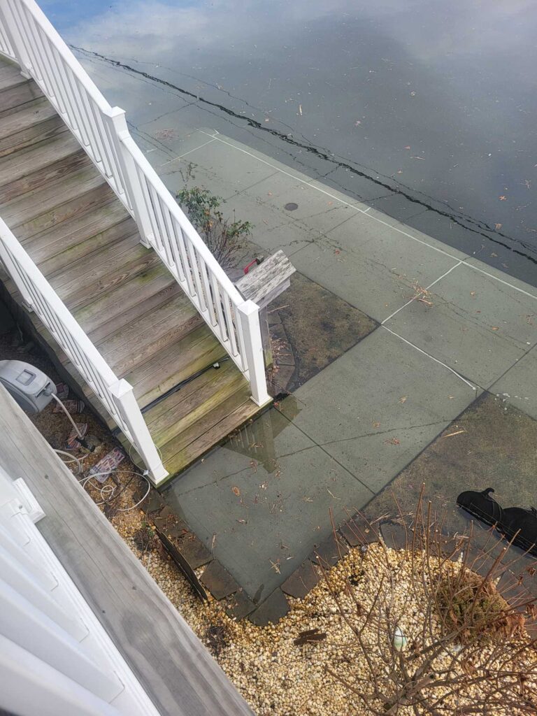 a cat on a sidewalk (MyCoast AI)