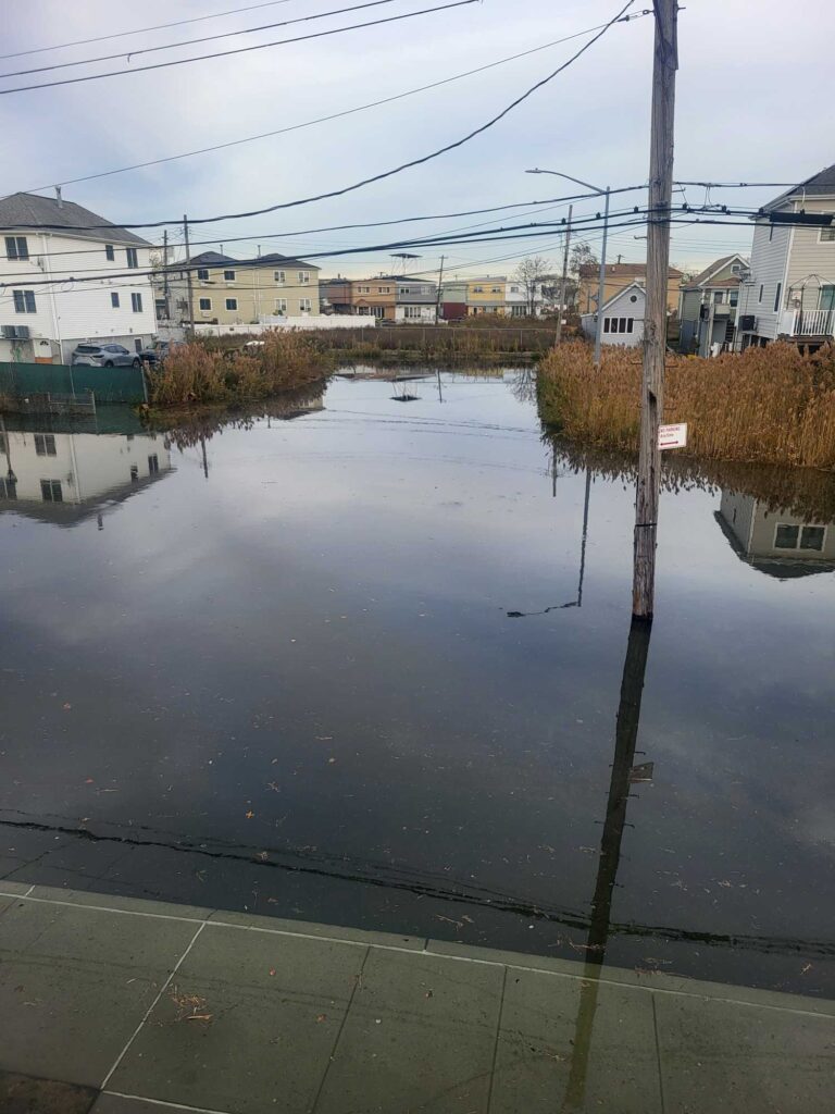 a flooded street with houses (MyCoast AI)