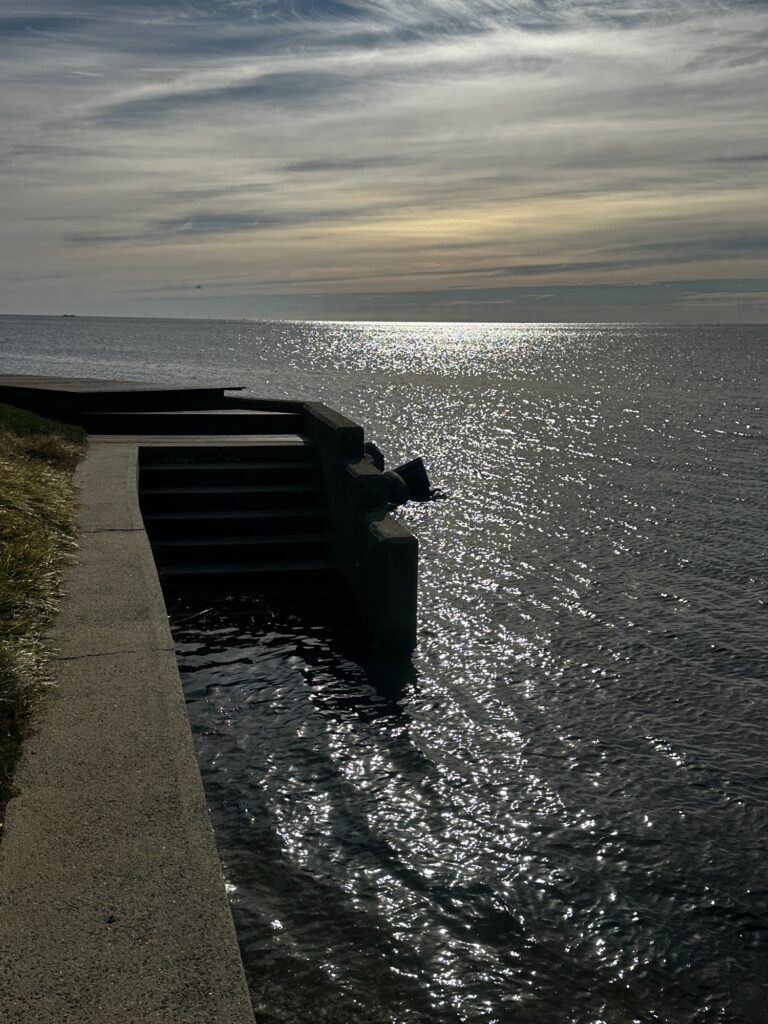 a bench overlooking the ocean (MyCoast AI)
