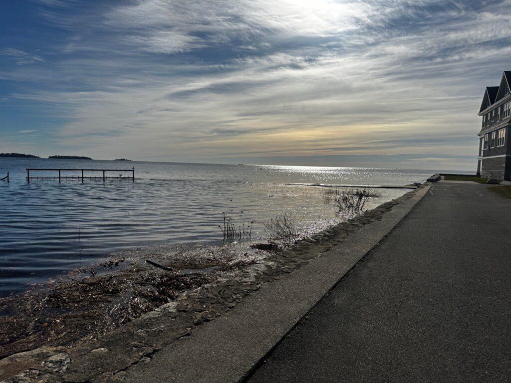 a road next to a body of water (MyCoast AI)