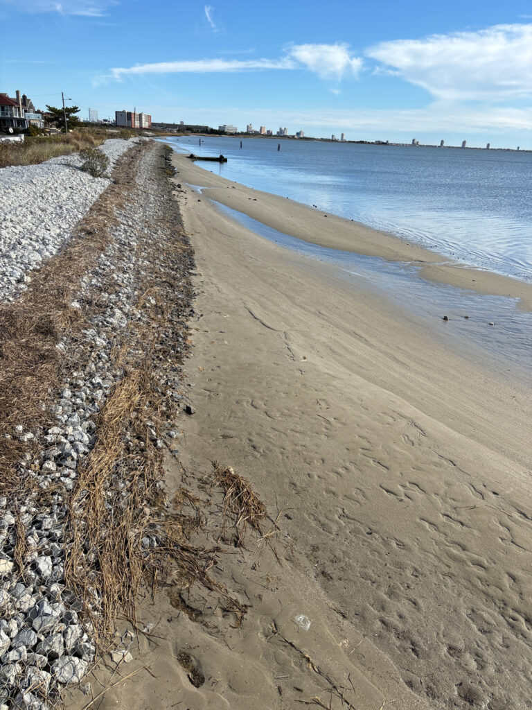 a sandy beach with rocks and water (MyCoast AI)