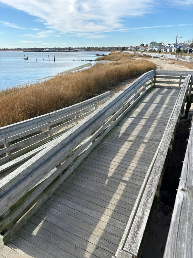 a wooden walkway over water (MyCoast AI)