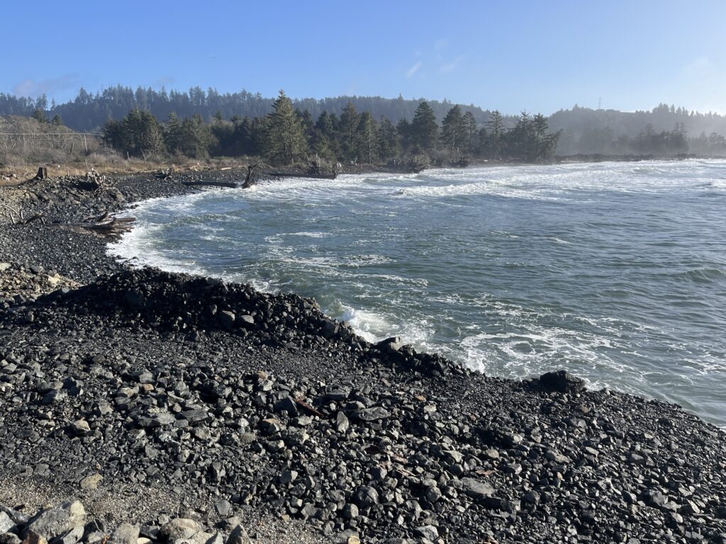 a rocky shore with a body of water and trees in the background (MyCoast AI)