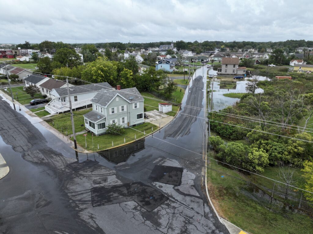 a road with houses and trees (MyCoast AI)