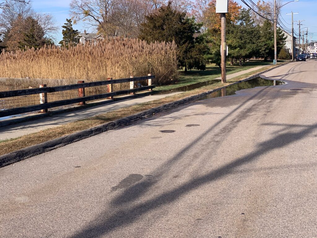 a road with a fence and trees on the side with The Pentagon in the background (MyCoast AI)