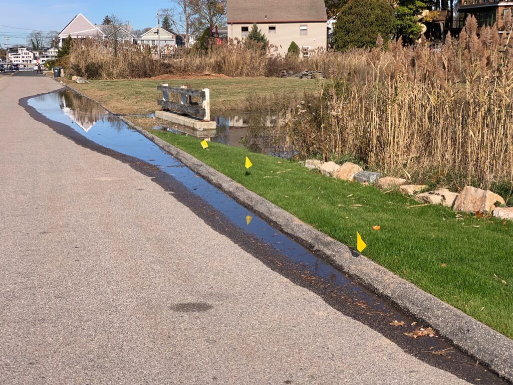 a road with grass and a small pond (MyCoast AI)