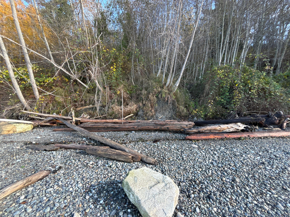 a rocky area with trees in the background (MyCoast AI)