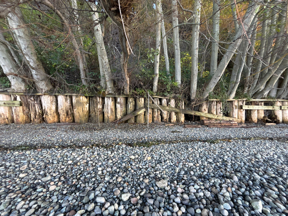 a rocky area with trees and a fence (MyCoast AI)