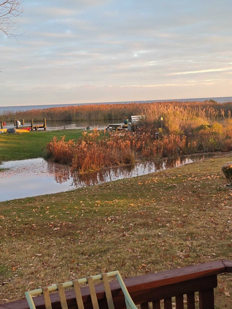 a small pond in a field (MyCoast AI)