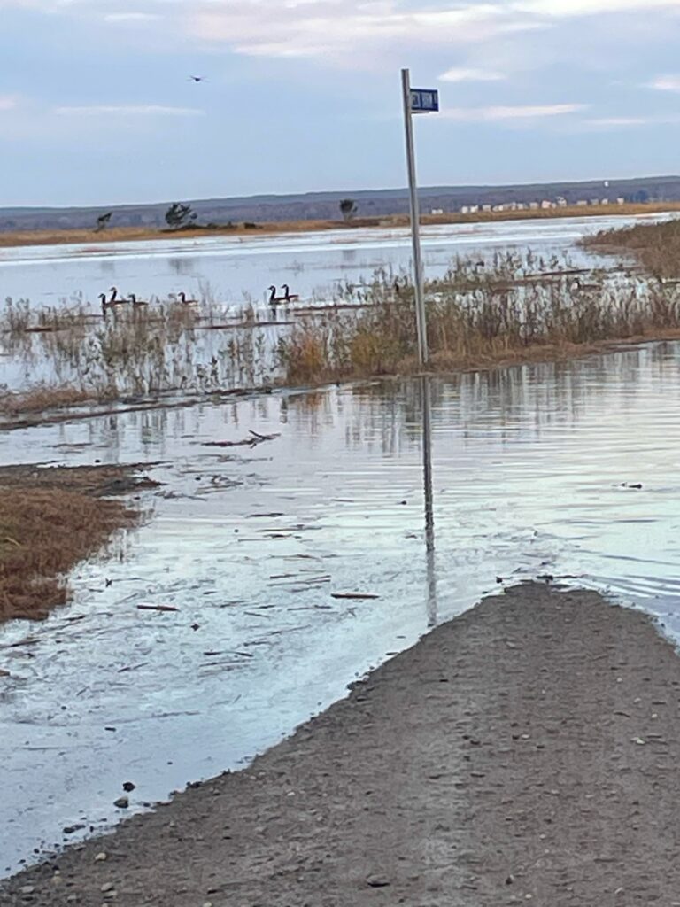 a flooded area with a pole and a sign in the middle (MyCoast AI)