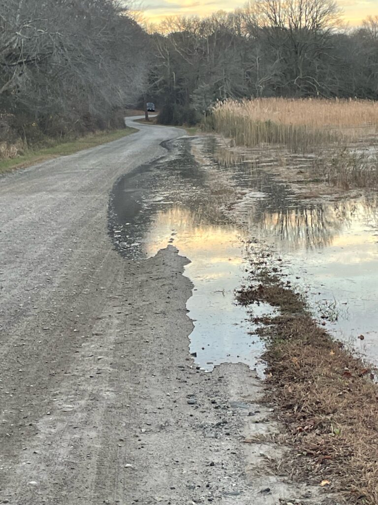 a road with a puddle of water on the side and trees on the side (MyCoast AI)
