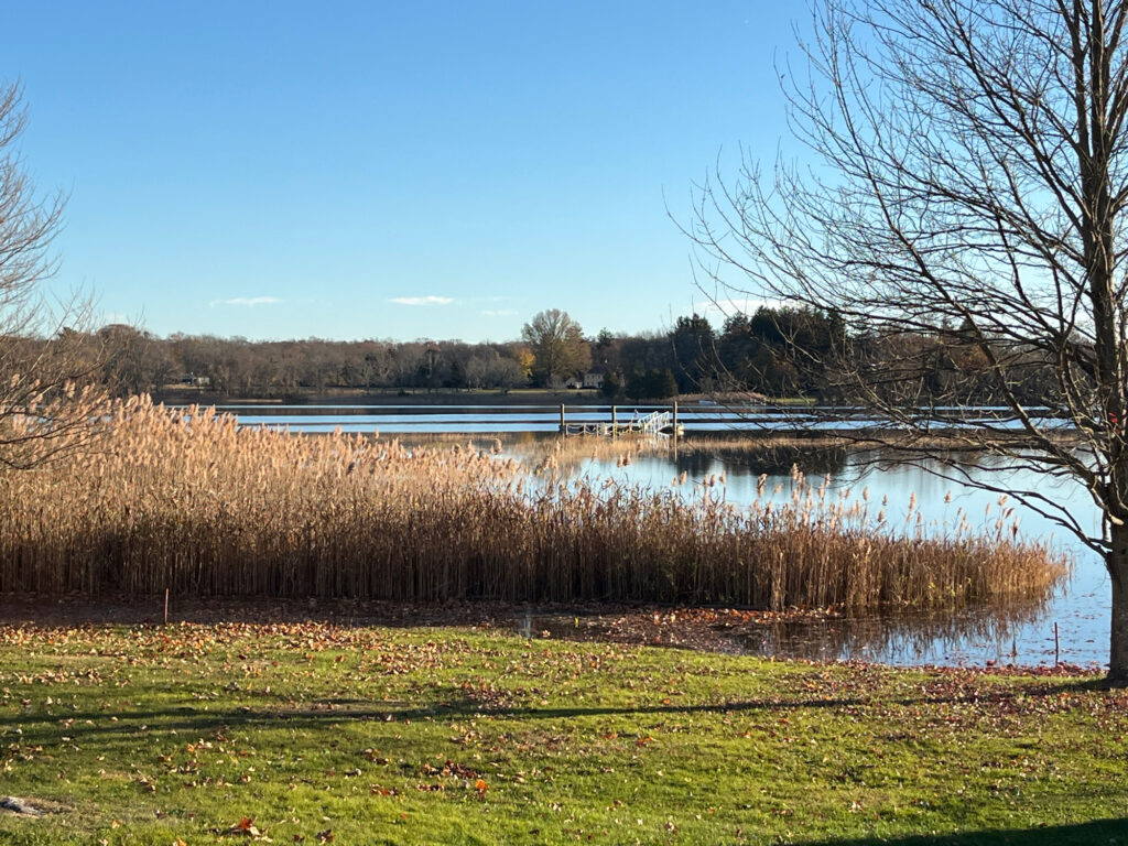 a body of water with grass and trees around it (MyCoast AI)