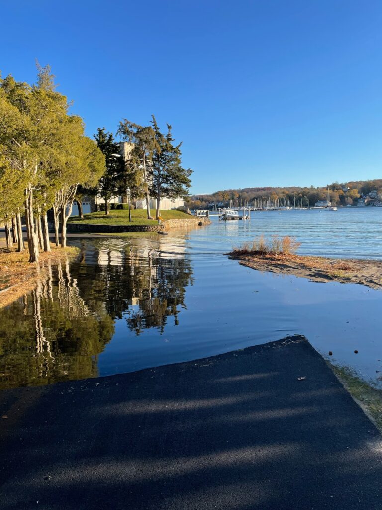a body of water with trees and grass around it (MyCoast AI)