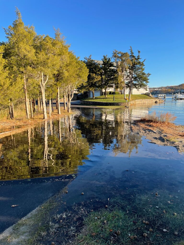 a body of water with trees around it (MyCoast AI)