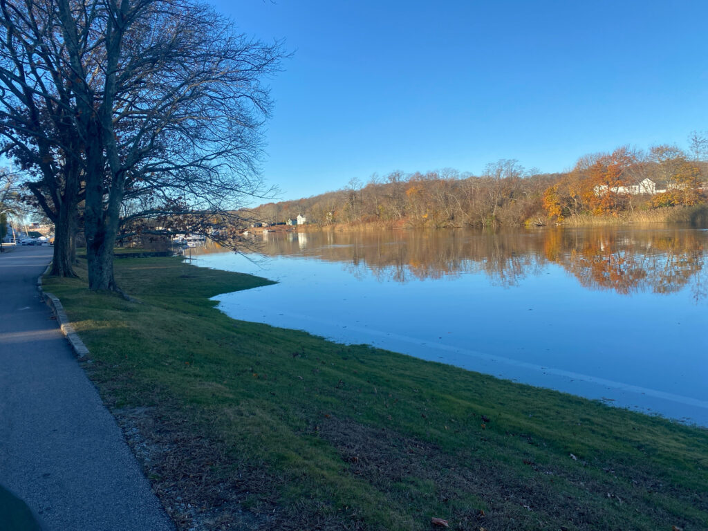 a body of water with grass and trees around it (MyCoast AI)