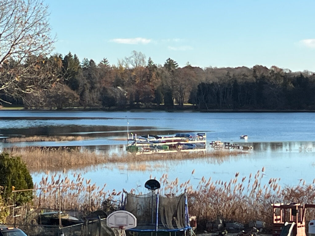 a body of water with boats and trees around it (MyCoast AI)