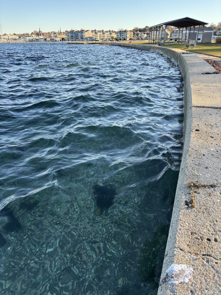 a pool of water with buildings in the background (MyCoast AI)