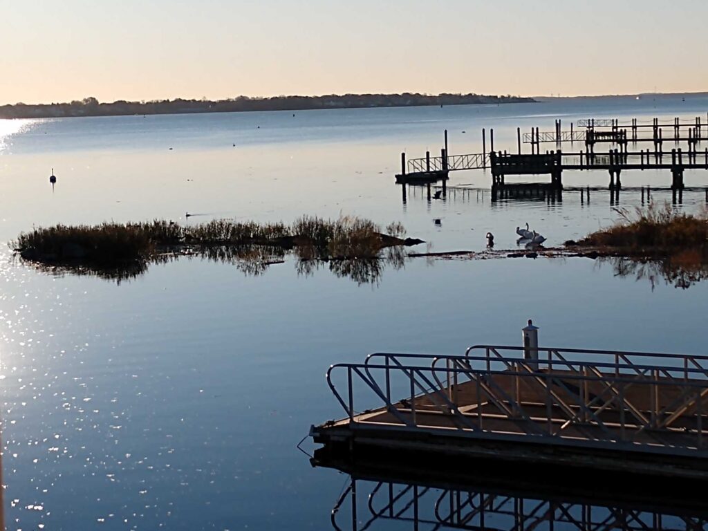 a dock in a body of water (MyCoast AI)