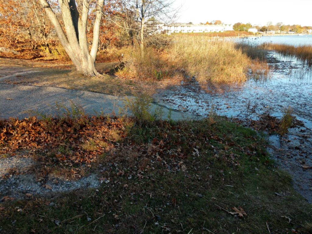 a small pond with grass and trees around it (MyCoast AI)