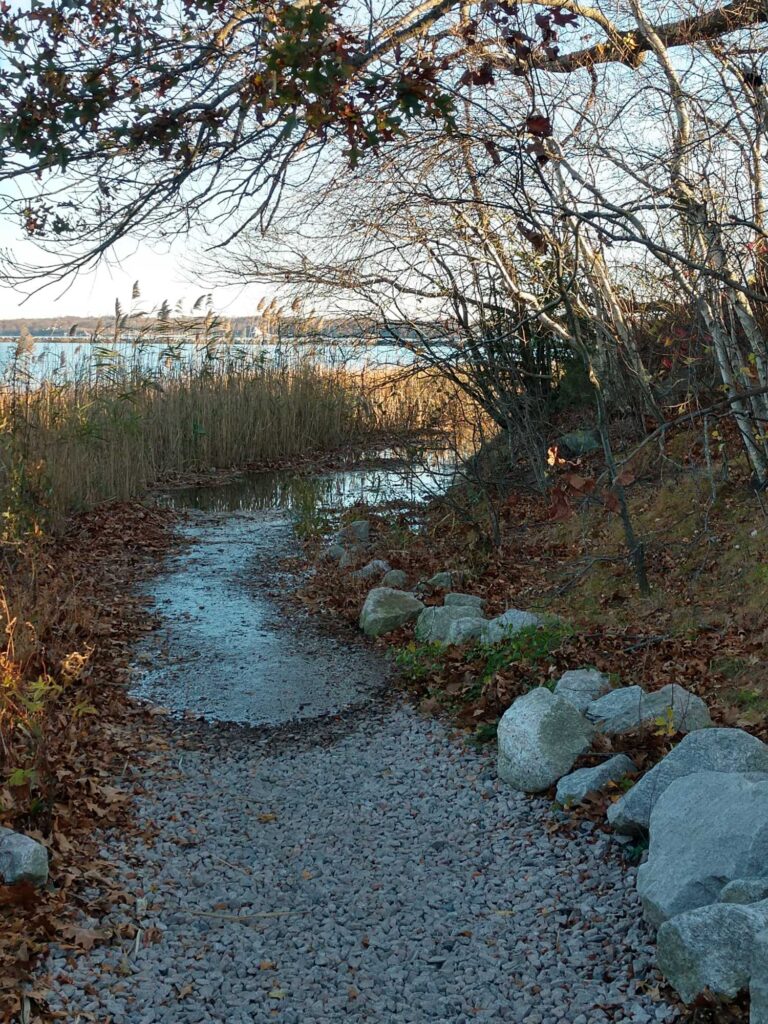 a path with rocks and trees on the side (MyCoast AI)