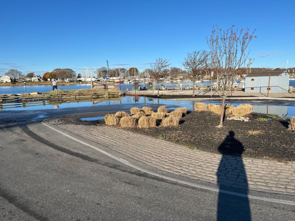 a person's shadow on a road by a body of water (MyCoast AI)