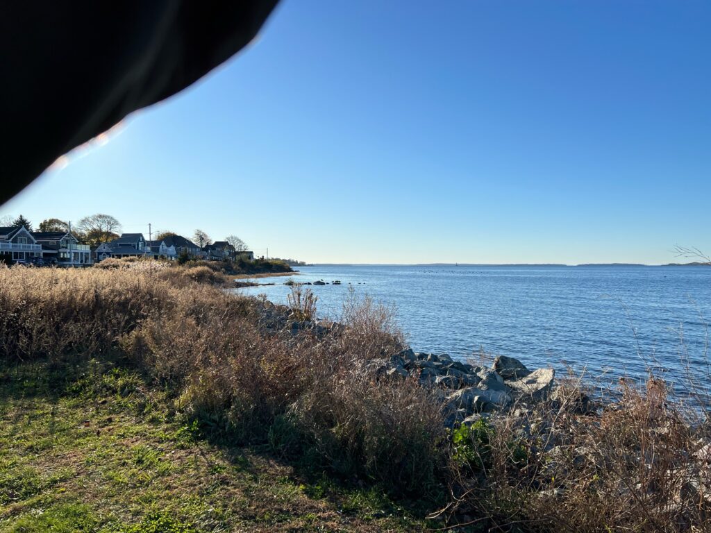 a body of water with houses along it (MyCoast AI)