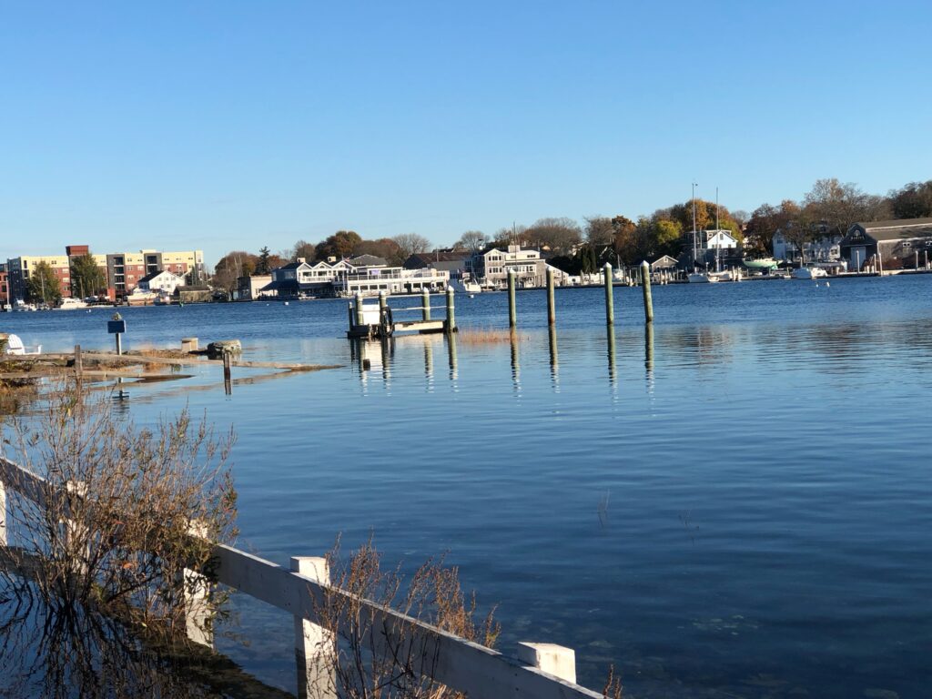 a body of water with a dock and buildings along it (MyCoast AI)
