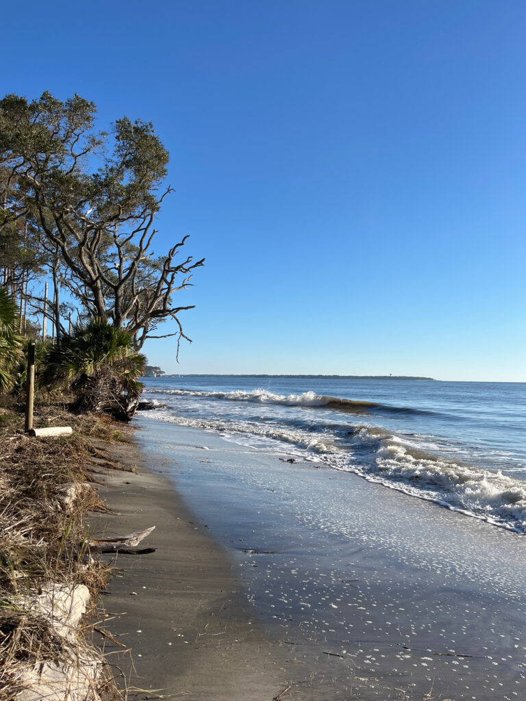 a beach with waves crashing on it (MyCoast AI)