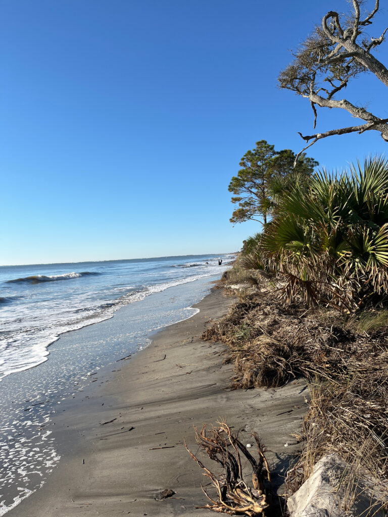 a sandy beach with trees and water (MyCoast AI)